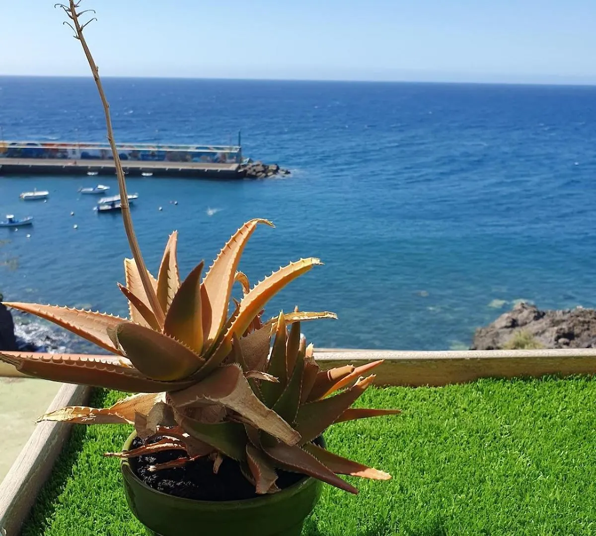 Vista Marina Tenerife Sur Los Abrigos Hiszpania
